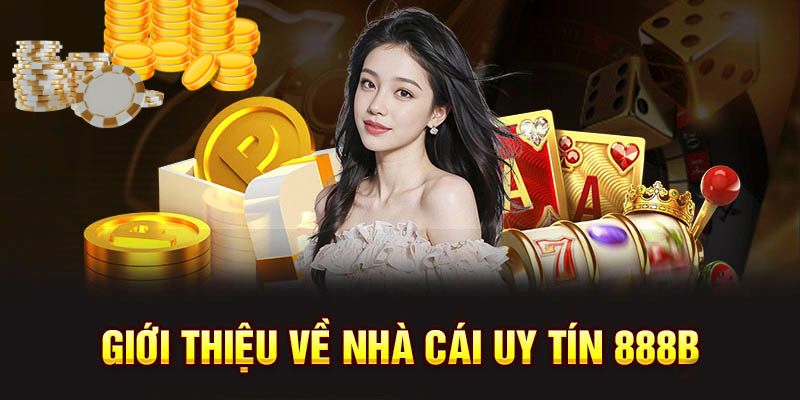 sun city casino bitcoin casino 🎰 erfahrungen