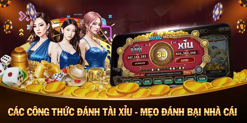 bet88-Nhận code tân thủ và trải nghiệm sự khác biệt!